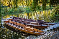 Foto Boote am Flussufer Tübingen
